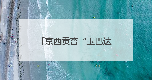 京西贡杏“玉巴达”熟了！它将牵手故宫、香山、颐和园