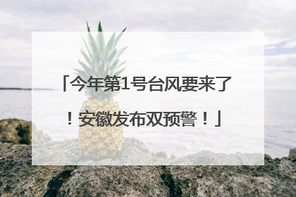 今年第1号台风要来了！安徽发布双预警！