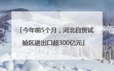 今年前5个月，河北自贸试验区进出口超300亿元