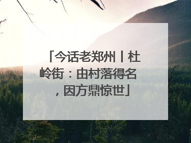 今话老郑州丨杜岭街：由村落得名，因方鼎惊世