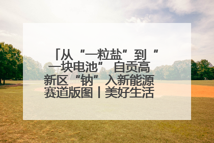 从“一粒盐”到“一块电池” 自贡高新区“钠”入新能源赛道版图丨美好生活有“盐”味