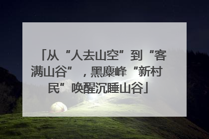 从“人去山空”到“客满山谷”，黑麋峰“新村民”唤醒沉睡山谷