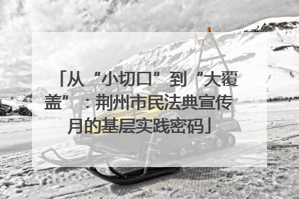 从“小切口”到“大覆盖”：荆州市民法典宣传月的基层实践密码