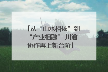 从“山水相依”到“产业相融” 川渝协作再上新台阶