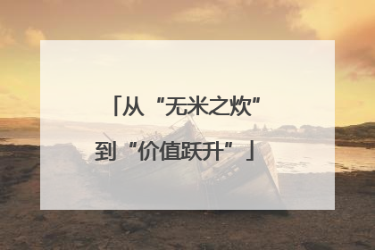 从“无米之炊”到“价值跃升”