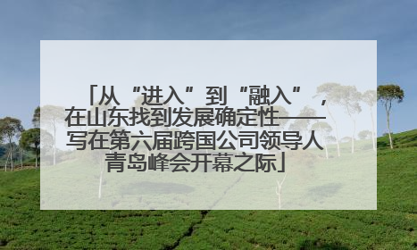从“进入”到“融入”，在山东找到发展确定性——写在第六届跨国公司领导人青岛峰会开幕之际
