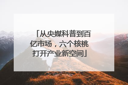从央媒科普到百亿市场，六个核桃打开产业新空间