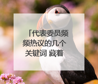 代表委员频频热议的几个关键词 藏着临安高质量发展的密码
