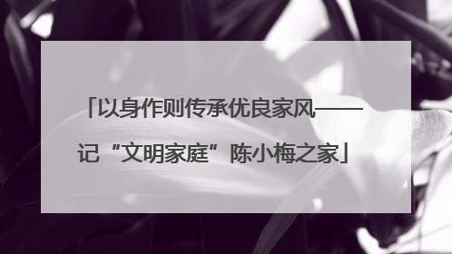 以身作则传承优良家风——记“文明家庭”陈小梅之家
