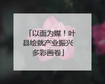 以面为媒！叶县绘就产业振兴多彩画卷