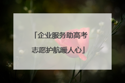 企业服务助高考 志愿护航暖人心