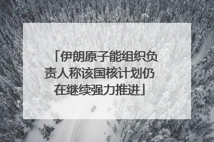 伊朗原子能组织负责人称该国核计划仍在继续强力推进