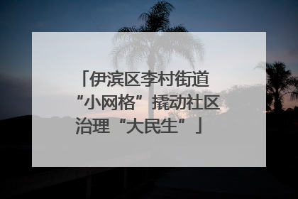 伊滨区李村街道 “小网格”撬动社区治理“大民生”