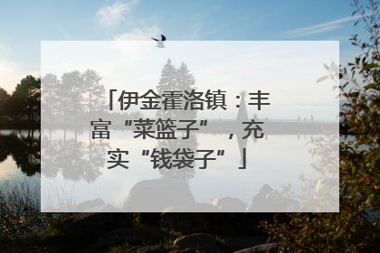 伊金霍洛镇：丰富“菜篮子”，充实“钱袋子”