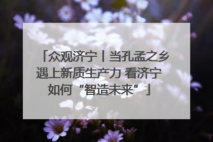 众观济宁丨当孔孟之乡遇上新质生产力 看济宁如何“智造未来”