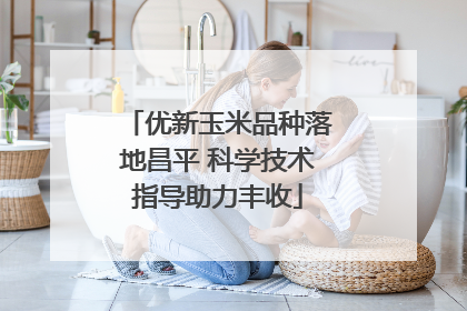 优新玉米品种落地昌平 科学技术指导助力丰收