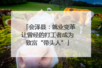会泽县：就业变革让曾经的打工者成为致富“带头人”