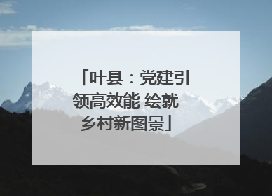 叶县：党建引领高效能 绘就乡村新图景