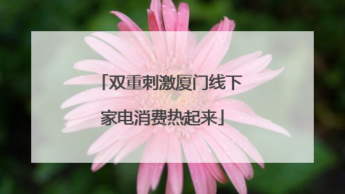 双重刺激厦门线下家电消费热起来