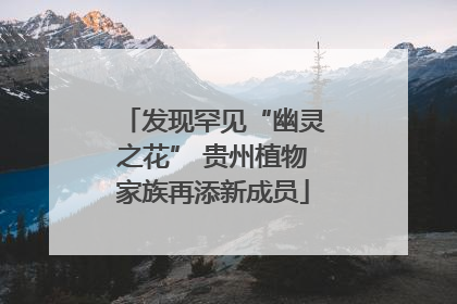 发现罕见“幽灵之花” 贵州植物家族再添新成员