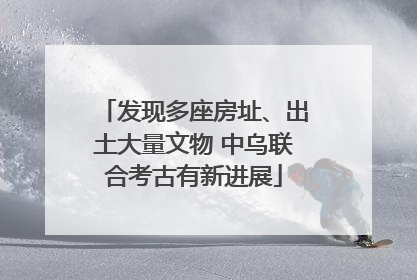 发现多座房址、出土大量文物 中乌联合考古有新进展