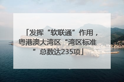 发挥“软联通”作用,粤港澳大湾区“湾区标准”总数达235项