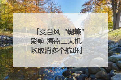 受台风“蝴蝶”影响 海南三大机场取消多个航班