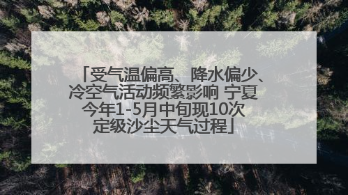 受气温偏高、降水偏少、冷空气活动频繁影响 宁夏今年1-5月中旬现10次定级沙尘天气过程