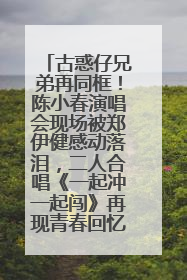 古惑仔兄弟再同框！陈小春演唱会现场被郑伊健感动落泪，二人合唱《一起冲一起闯》再现青春回忆