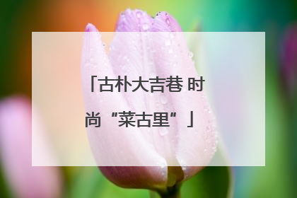 古朴大吉巷 时尚“菜古里”