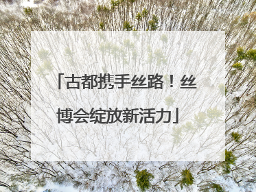 古都携手丝路！丝博会绽放新活力