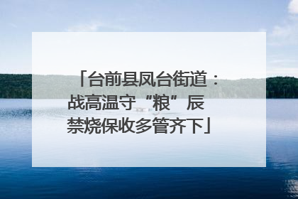 台前县凤台街道：战高温守“粮”辰 禁烧保收多管齐下