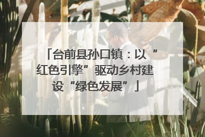 台前县孙口镇：以“红色引擎”驱动乡村建设“绿色发展”