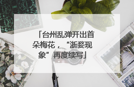台州乱弹开出首朵梅花，“浙婺现象”再度续写