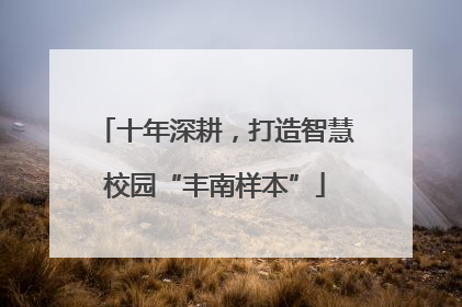 十年深耕，打造智慧校园“丰南样本”