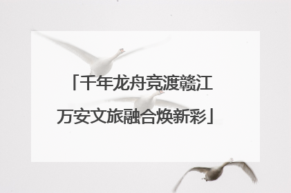 千年龙舟竞渡赣江 万安文旅融合焕新彩