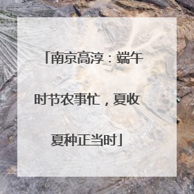 南京高淳：端午时节农事忙，夏收夏种正当时