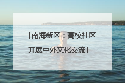 南海新区：高校社区开展中外文化交流