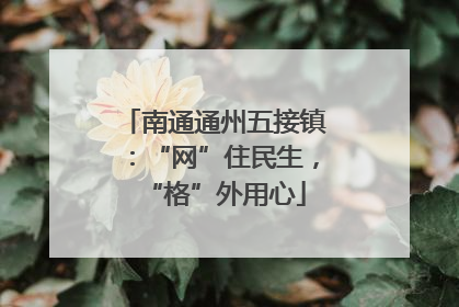 南通通州五接镇：“网”住民生，“格”外用心
