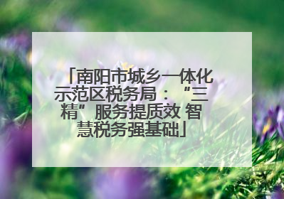 南阳市城乡一体化示范区税务局：“三精”服务提质效 智慧税务强基础