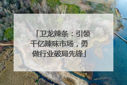 卫龙辣条：引领千亿辣味市场，勇做行业破局先锋