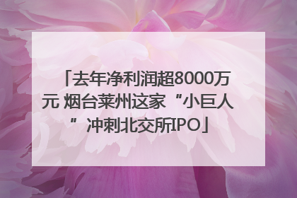 去年净利润超8000万元 烟台莱州这家“小巨人”冲刺北交所IPO