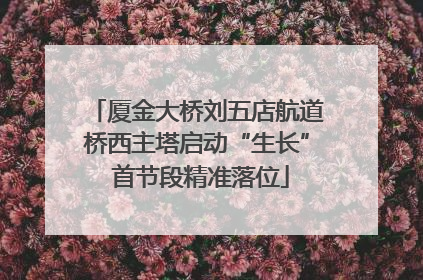 厦金大桥刘五店航道桥西主塔启动“生长” 首节段精准落位