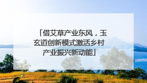 借艾草产业东风，玉玄道创新模式激活乡村产业振兴新动能