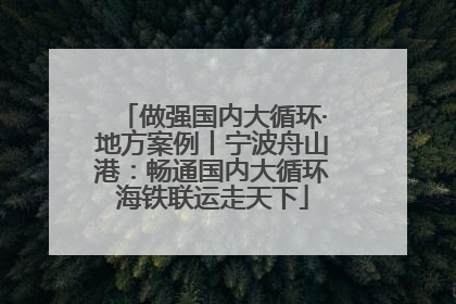 做强国内大循环·地方案例丨宁波舟山港：畅通国内大循环海铁联运走天下