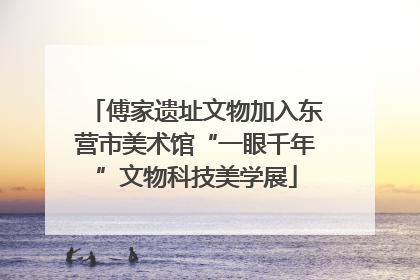 傅家遗址文物加入东营市美术馆“一眼千年”文物科技美学展