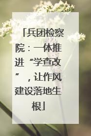 兵团检察院：一体推进“学查改”，让作风建设落地生根