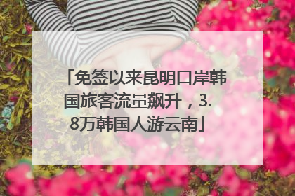 免签以来昆明口岸韩国旅客流量飙升，3.8万韩国人游云南