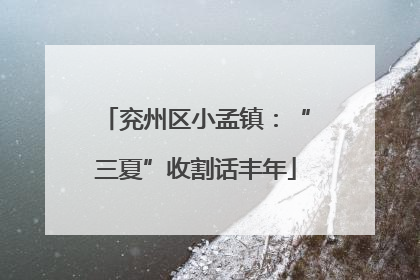 兖州区小孟镇：“三夏”收割话丰年