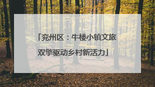 兖州区：牛楼小镇文旅双擎驱动乡村新活力